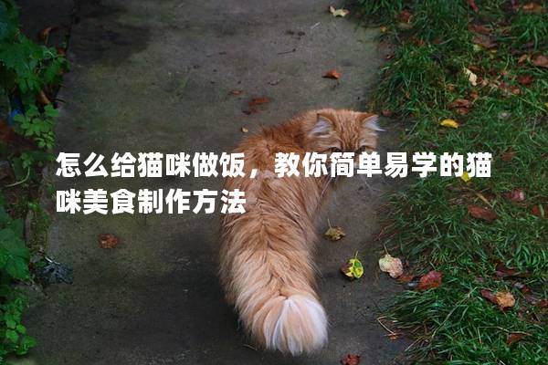 怎么给猫咪做饭，教你简单易学的猫咪美食制作方法