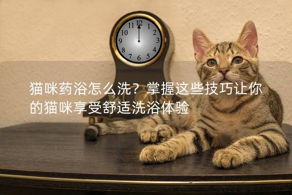 猫咪药浴怎么洗？掌握这些技巧让你的猫咪享受舒适洗浴体验