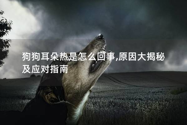 狗狗耳朵热是怎么回事,原因大揭秘及应对指南