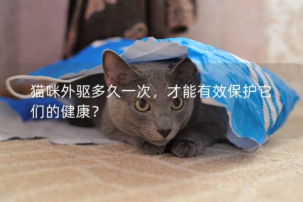 猫咪外驱多久一次，才能有效保护它们的健康？