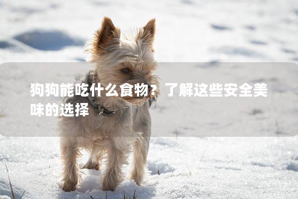 狗狗能吃什么食物？了解这些安全美味的选择