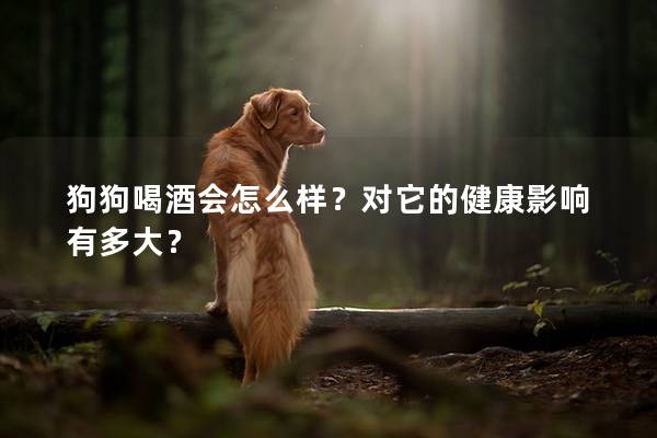 狗狗喝酒会怎么样？对它的健康影响有多大？