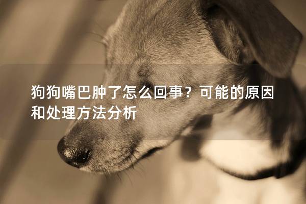 狗狗嘴巴肿了怎么回事？可能的原因和处理方法分析