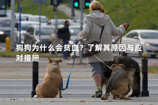 狗狗为什么会贫血？了解其原因与应对措施