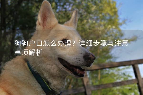 狗狗户口怎么办理？详细步骤与注意事项解析