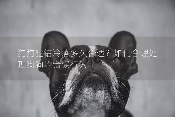 狗狗犯错冷落多久合适？如何合理处理狗狗的错误行为