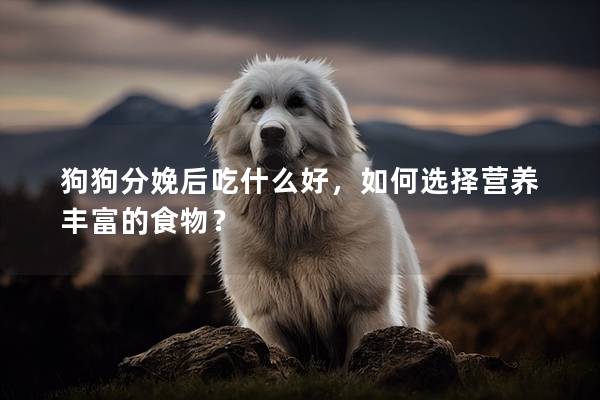 狗狗分娩后吃什么好，如何选择营养丰富的食物？