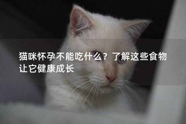 猫咪怀孕不能吃什么？了解这些食物让它健康成长