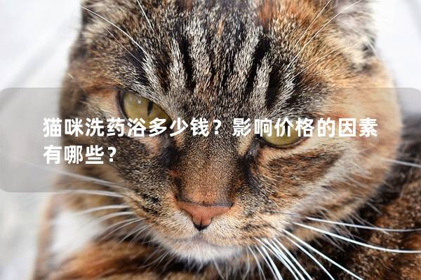 猫咪洗药浴多少钱？影响价格的因素有哪些？
