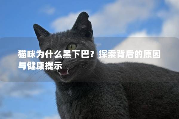 猫咪为什么黑下巴？探索背后的原因与健康提示