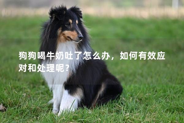 狗狗喝牛奶吐了怎么办，如何有效应对和处理呢？