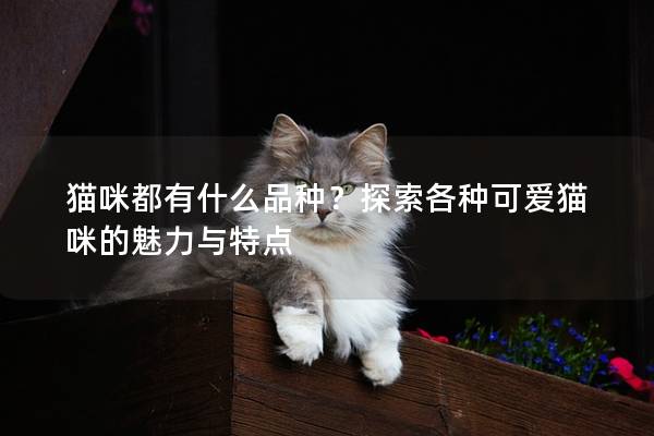 猫咪都有什么品种？探索各种可爱猫咪的魅力与特点
