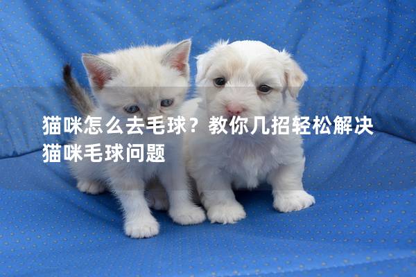 猫咪怎么去毛球？教你几招轻松解决猫咪毛球问题