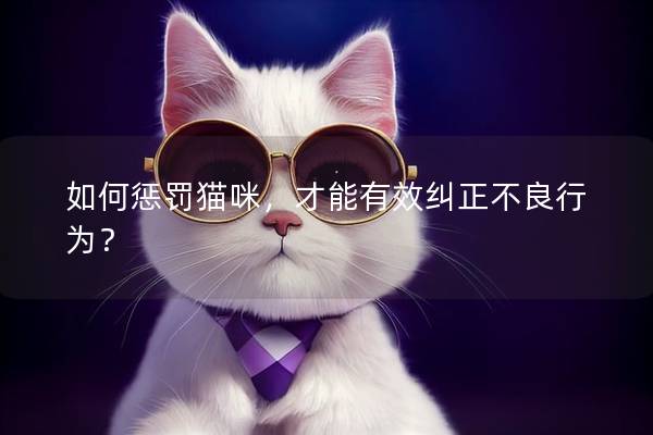 如何惩罚猫咪，才能有效纠正不良行为？