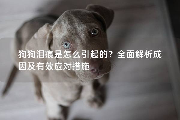 狗狗泪痕是怎么引起的？全面解析成因及有效应对措施