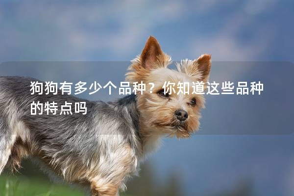 狗狗有多少个品种？你知道这些品种的特点吗