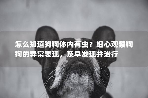 怎么知道狗狗体内有虫？细心观察狗狗的异常表现，及早发现并治疗
