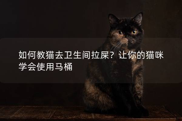 如何教猫去卫生间拉屎？让你的猫咪学会使用马桶