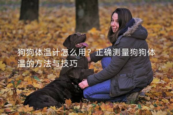 狗狗体温计怎么用？正确测量狗狗体温的方法与技巧