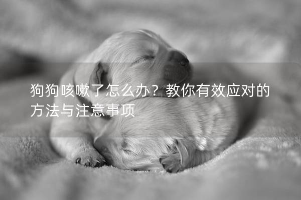 狗狗咳嗽了怎么办？教你有效应对的方法与注意事项