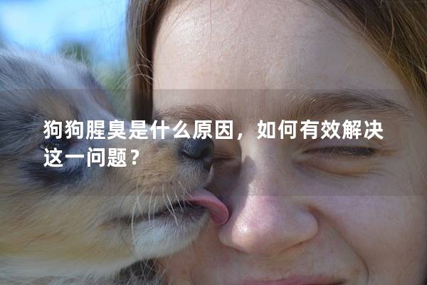 狗狗腥臭是什么原因，如何有效解决这一问题？