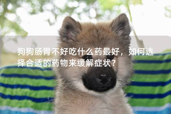 狗狗肠胃不好吃什么药最好，如何选择合适的药物来缓解症状？