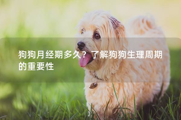 狗狗月经期多久？了解狗狗生理周期的重要性