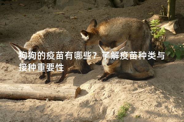 狗狗的疫苗有哪些？了解疫苗种类与接种重要性