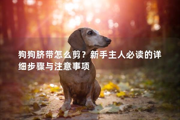 狗狗脐带怎么剪？新手主人必读的详细步骤与注意事项