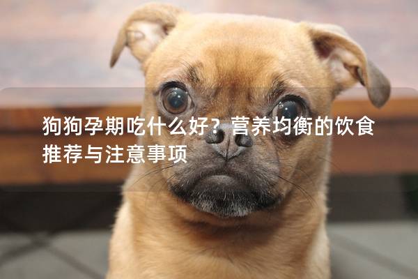 狗狗孕期吃什么好？营养均衡的饮食推荐与注意事项