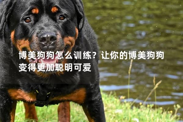 博美狗狗怎么训练？让你的博美狗狗变得更加聪明可爱