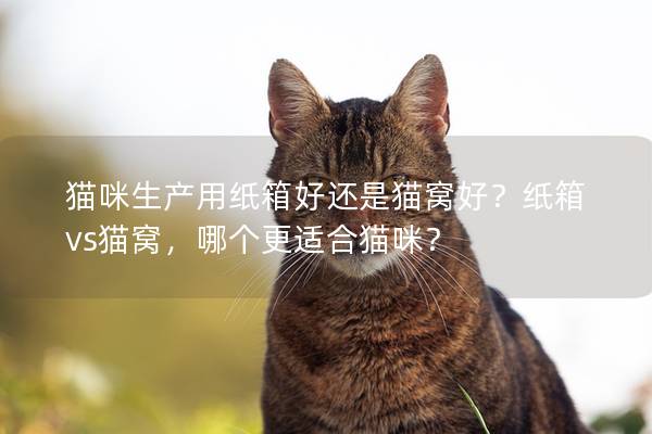 猫咪生产用纸箱好还是猫窝好？纸箱vs猫窝，哪个更适合猫咪？
