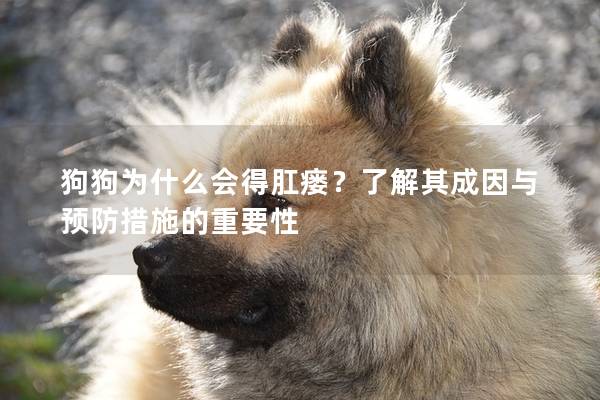 狗狗为什么会得肛瘘？了解其成因与预防措施的重要性