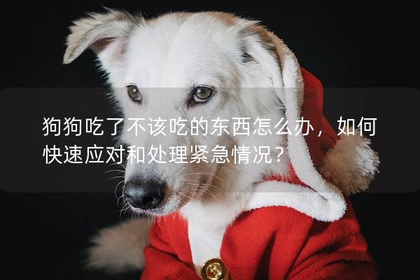 狗狗吃了不该吃的东西怎么办，如何快速应对和处理紧急情况？