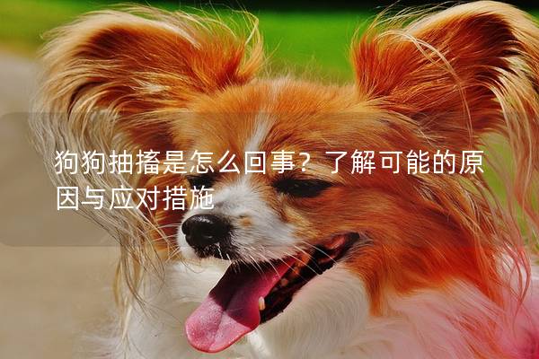狗狗抽搐是怎么回事？了解可能的原因与应对措施