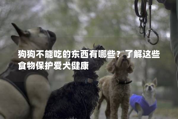 狗狗不能吃的东西有哪些？了解这些食物保护爱犬健康