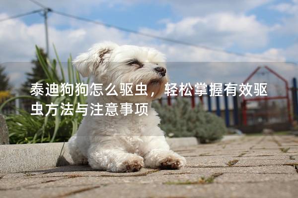 泰迪狗狗怎么驱虫，轻松掌握有效驱虫方法与注意事项
