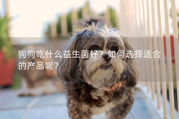狗狗吃什么益生菌好？如何选择适合的产品呢？