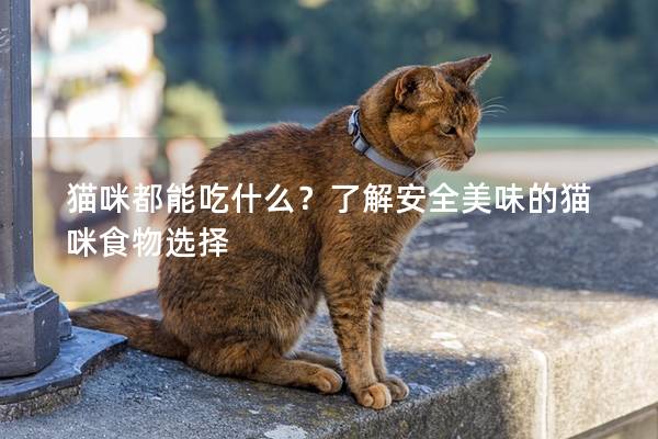 猫咪都能吃什么？了解安全美味的猫咪食物选择