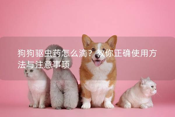 狗狗驱虫药怎么滴？教你正确使用方法与注意事项
