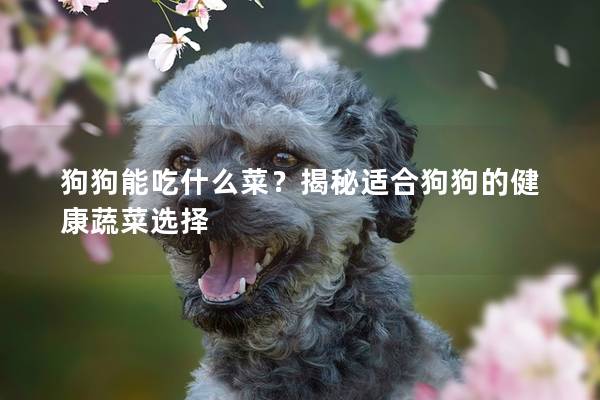 狗狗能吃什么菜？揭秘适合狗狗的健康蔬菜选择