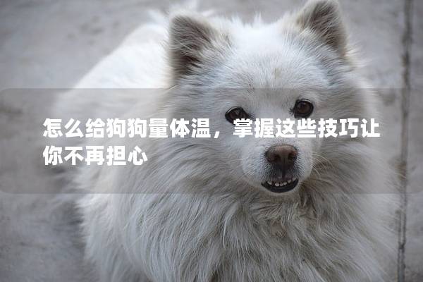 怎么给狗狗量体温，掌握这些技巧让你不再担心