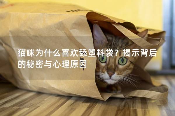 猫咪为什么喜欢舔塑料袋？揭示背后的秘密与心理原因