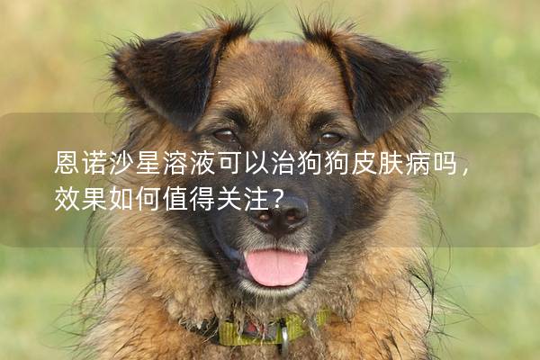 恩诺沙星溶液可以治狗狗皮肤病吗，效果如何值得关注？