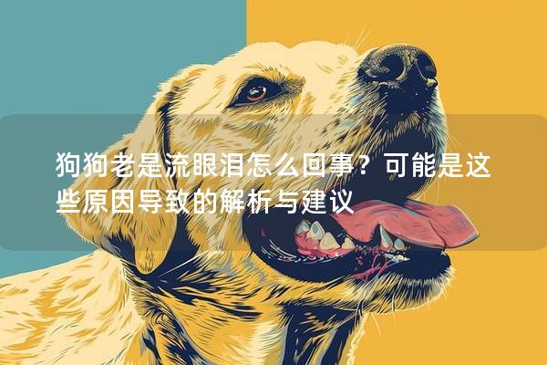 狗狗老是流眼泪怎么回事？可能是这些原因导致的解析与建议