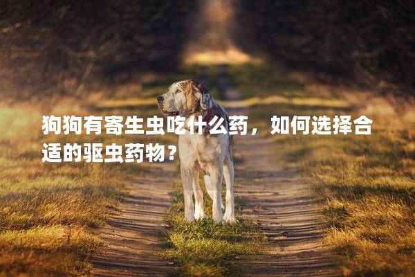 狗狗有寄生虫吃什么药，如何选择合适的驱虫药物？