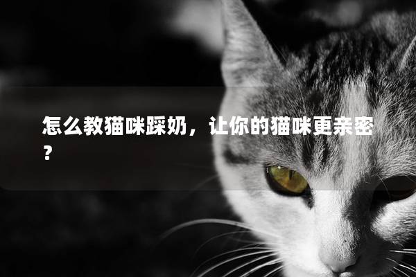 怎么教猫咪踩奶，让你的猫咪更亲密？