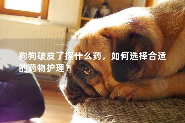 狗狗破皮了擦什么药，如何选择合适的药物护理？