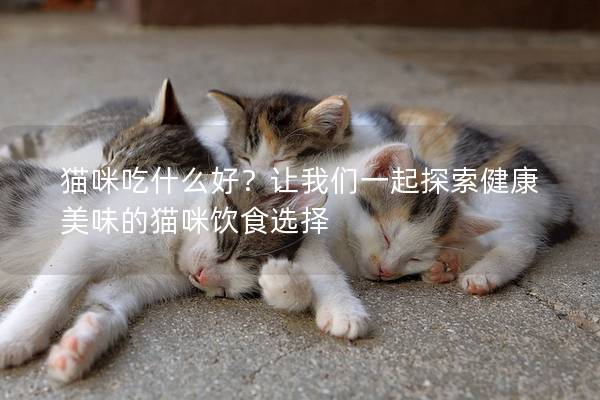 猫咪吃什么好？让我们一起探索健康美味的猫咪饮食选择