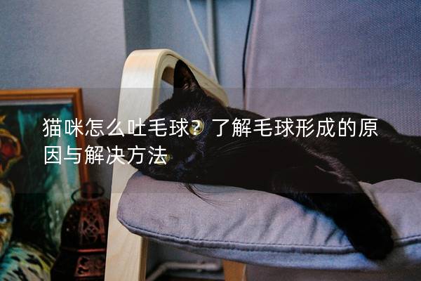 猫咪怎么吐毛球？了解毛球形成的原因与解决方法